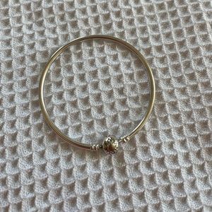 Pandora bangle charm bracelet